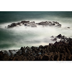 dailyPhoto22